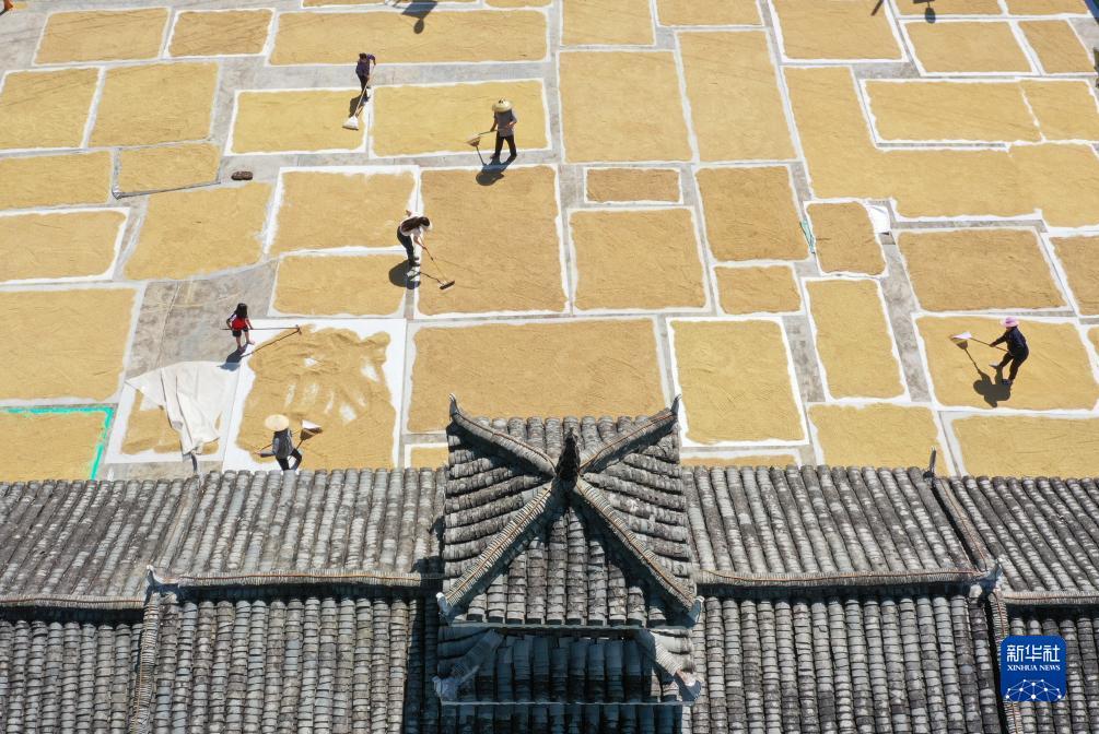 威尼斯379.cc
